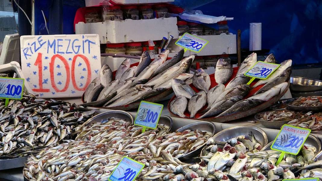 Tezgahlar doldu taştı: Hamsinin fiyatı görenleri şaşırttı! Boyu uzadı, fiyatı düştü, her gelen kilolarca alıyor 8